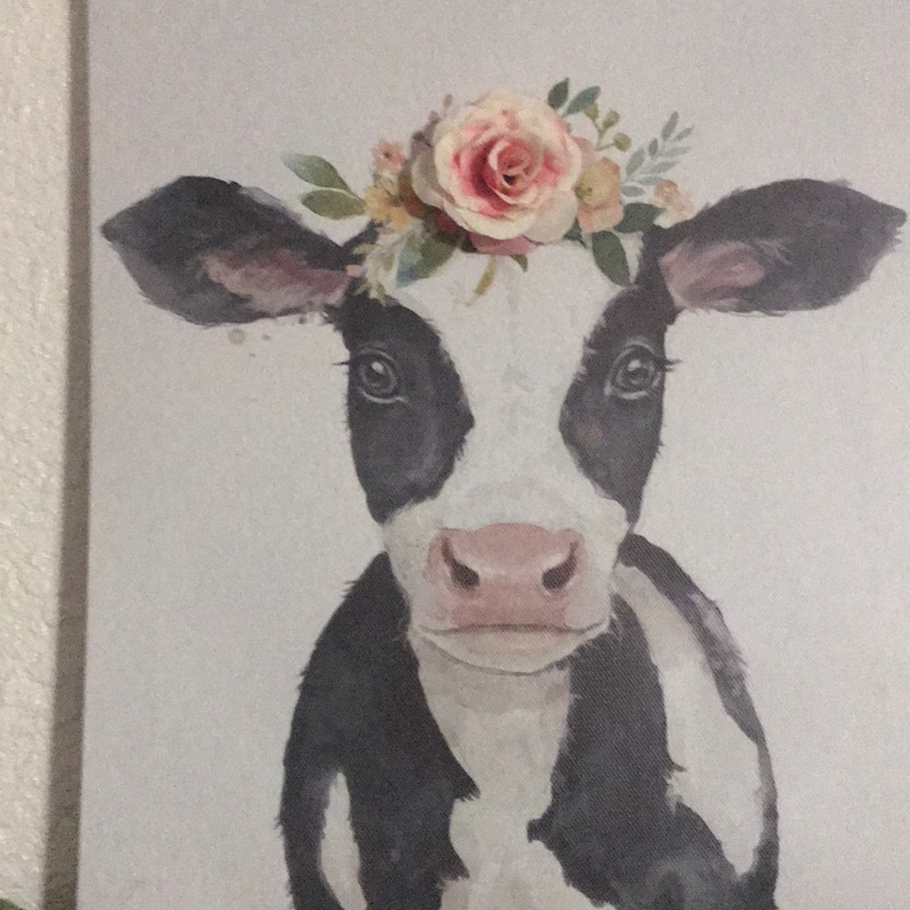 Meet your Posher, Judith